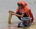 Persécution au BANGLADESH Mordu par un serpent